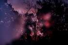 Sunset 1 Art Print