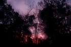 Sunset 2 Art Print