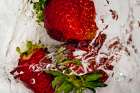 Strawberry Dance Bathroom Art Print