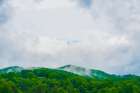 Mountain Top Green Art Print