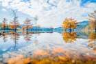 Fall Lake Art Print