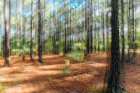 Blurry Forest 2 Art Print