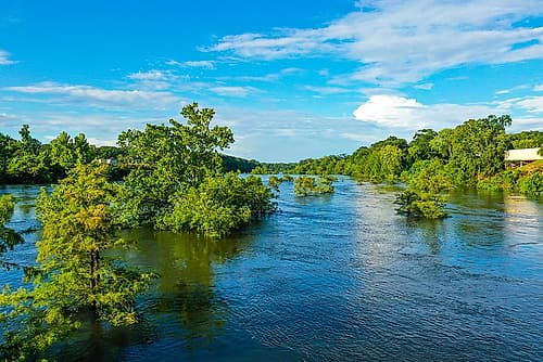 Blooming on the Coosa 3 Landscape Print