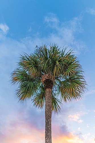 DeLand Sunset Coastal Print