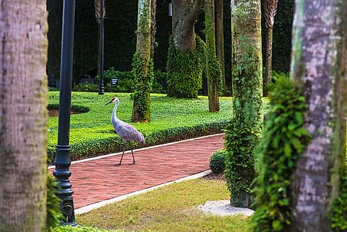 Bird About Town Art Print