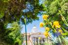 Henderson County Courthouse Art Print