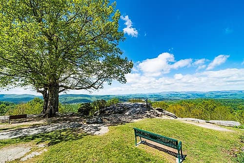 Laurel Park Landscape Print
