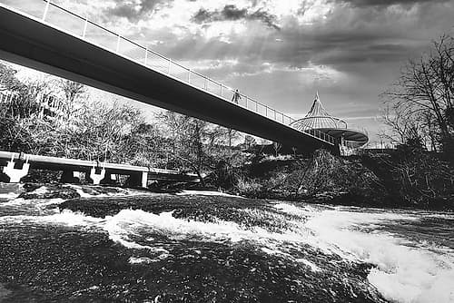 Cancer Survivor Park 3 BW Art Print
