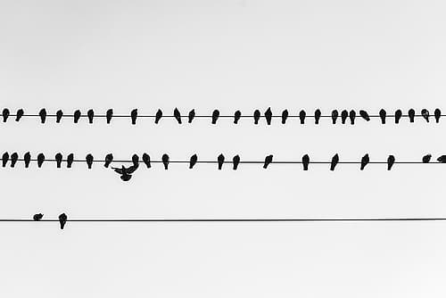 Get in Line Watermark Art Print