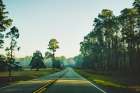 Golden Road Art Print