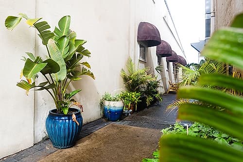 Green Alley Art Print