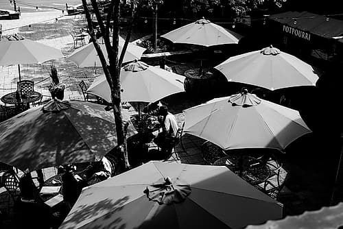 Lunch 2 Art Print