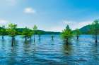 Ocoee Summer 4 Art Print