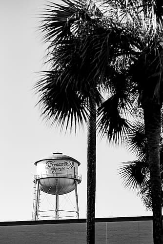 Thomasville Watertower 2 Photography Print
