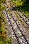 Saluda Tracks Art Print
