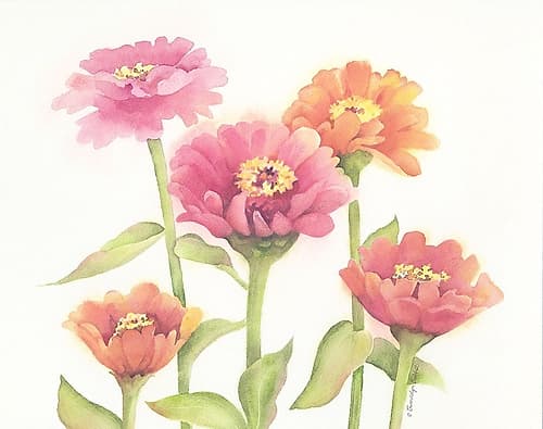 Happy Zinnias Art Print