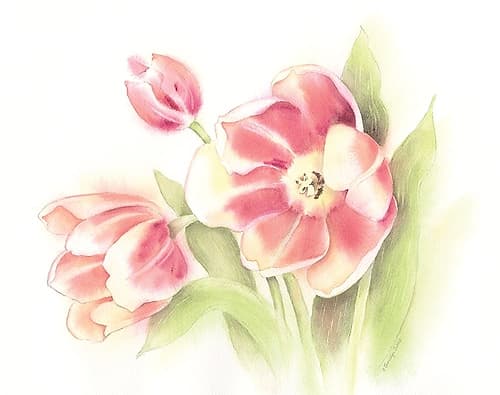 Happy Tulips Art Print