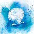 Aqueous Shells III Art Print