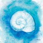 Aqueous Shells IV Art Print