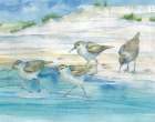 Sandy Sandpipers II Art Print