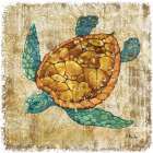 Saltwater Exploration I Art Print