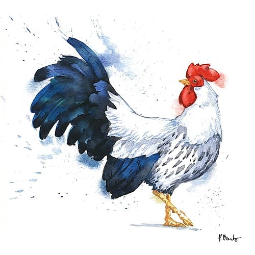 Arianna Rooster I Art Print