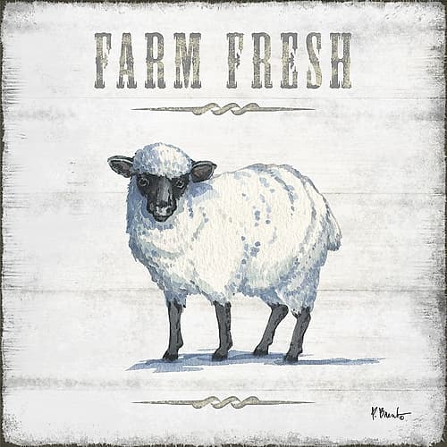 Farmhouse Fresh IV Art Print