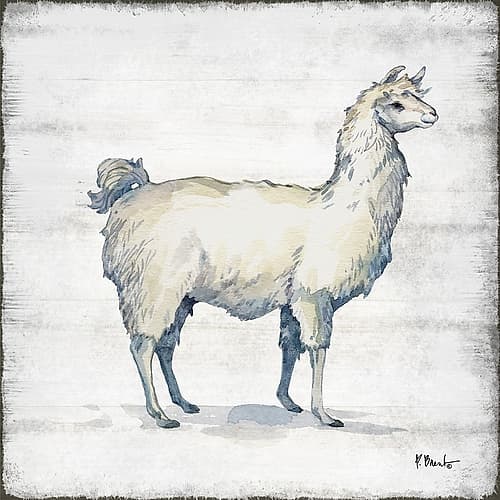 Farmhouse Llama I Art Print