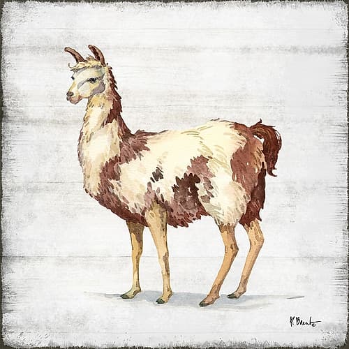 Farmhouse Llama II Art Print