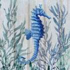 Navarre Sealife II Art Print