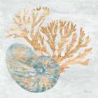Shimmering Shells I Art Print