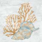 Shimmering Shells II Art Print