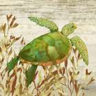 Calypso Turtles I Art Print