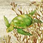Calypso Turtles II Art Print