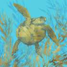 Cedar Key Turtle I Art Print