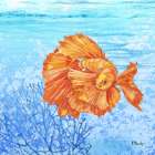Thai Betta Fish I Art Print