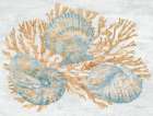Shimmering Shells II Art Print