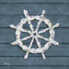 Oyster Cluster II Art Print