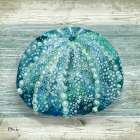 Northpoint Shells I Art Print