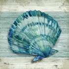 Northpoint Shells II Art Print