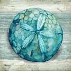 Northpoint Shells IV Art Print