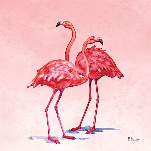 Hilo Flamingos I Art Print
