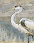 Golden River Heron Art Print