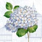 Hydrangea Cages II Art Print