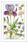 Print Botanical II Art Print