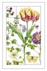 Print Botanical III Art Print