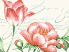 Pink Blossoms I Art Print
