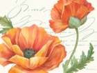 Orange Poppies II Art Print