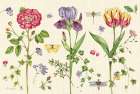 Lang of Flowers III Art Print