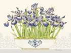 Imperial Irises Horizontal Art Print